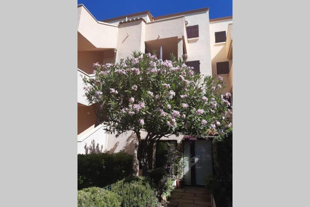Appartement Calme Entre Terre Et Mer Proche Plage Fleury  Exterior photo